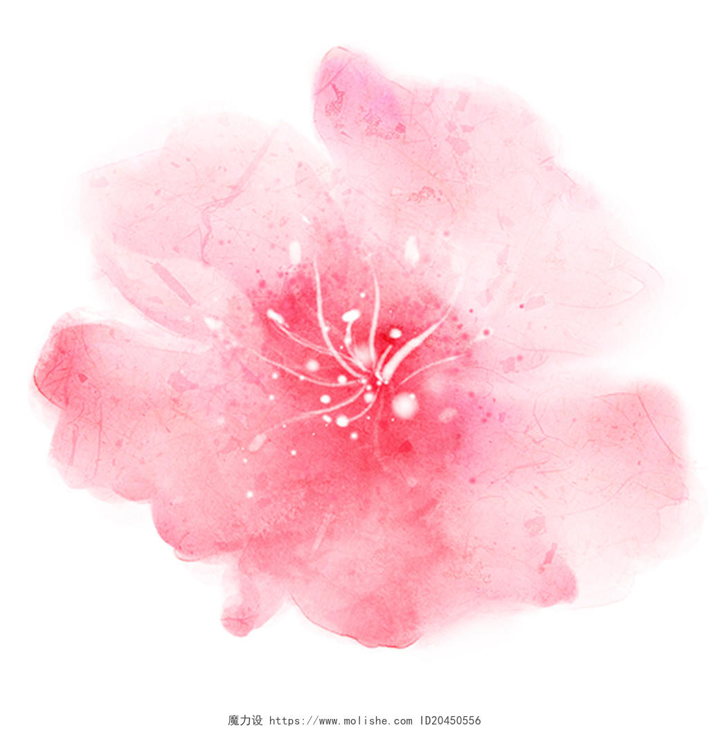 粉色花朵花瓣PNG素材元素